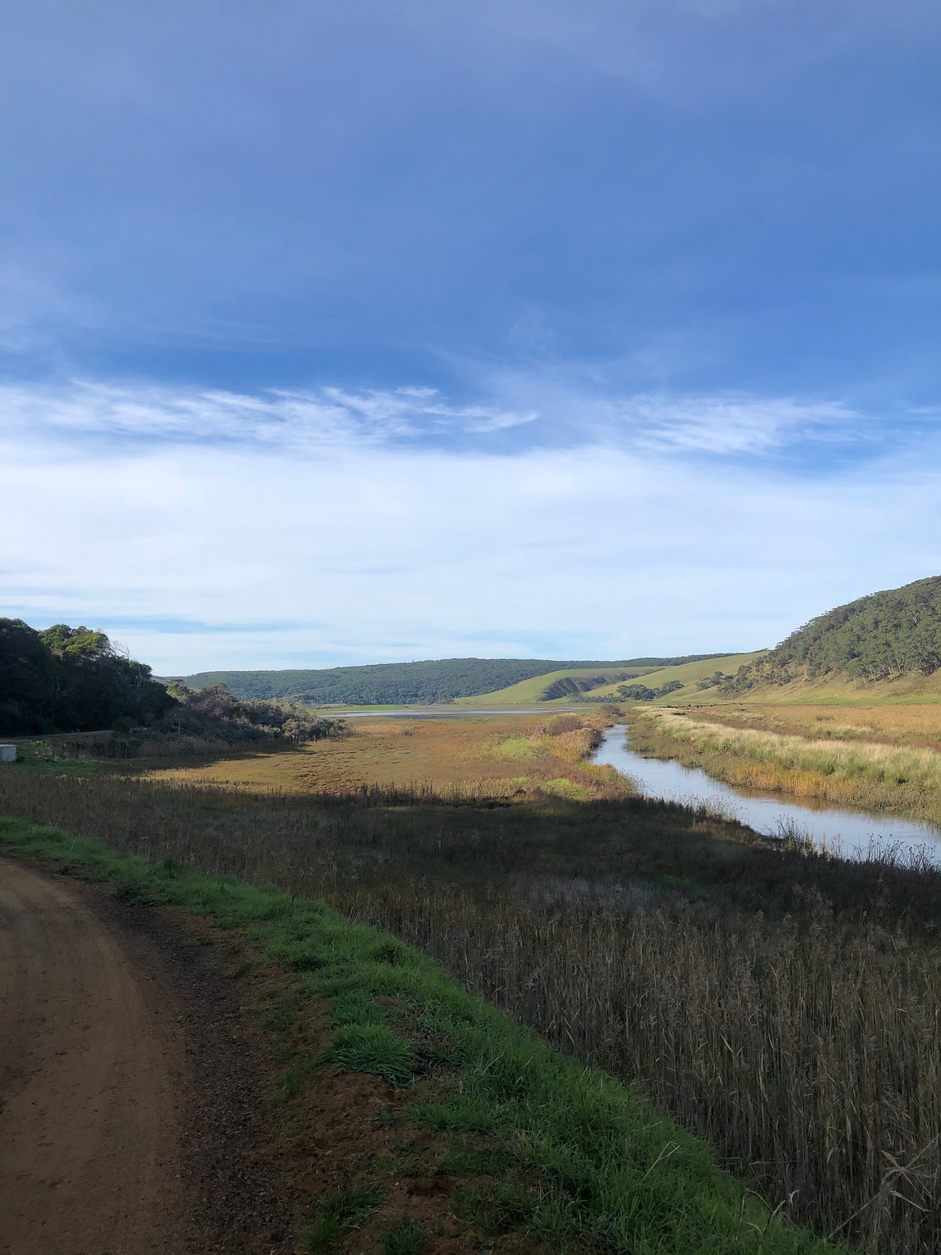 Old Ocean Road tracking through the Gellibrand river valley
