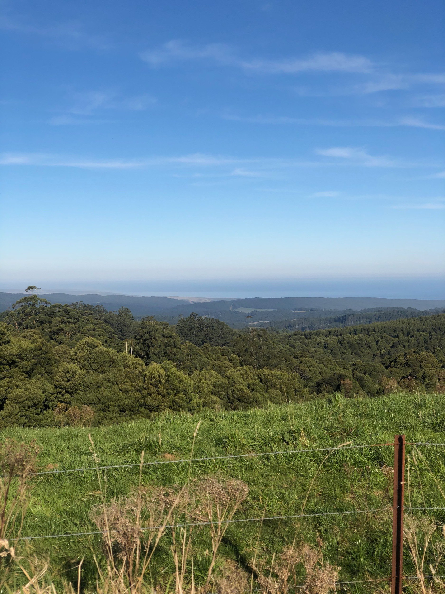 Views down to the ocean from Lavers Hill