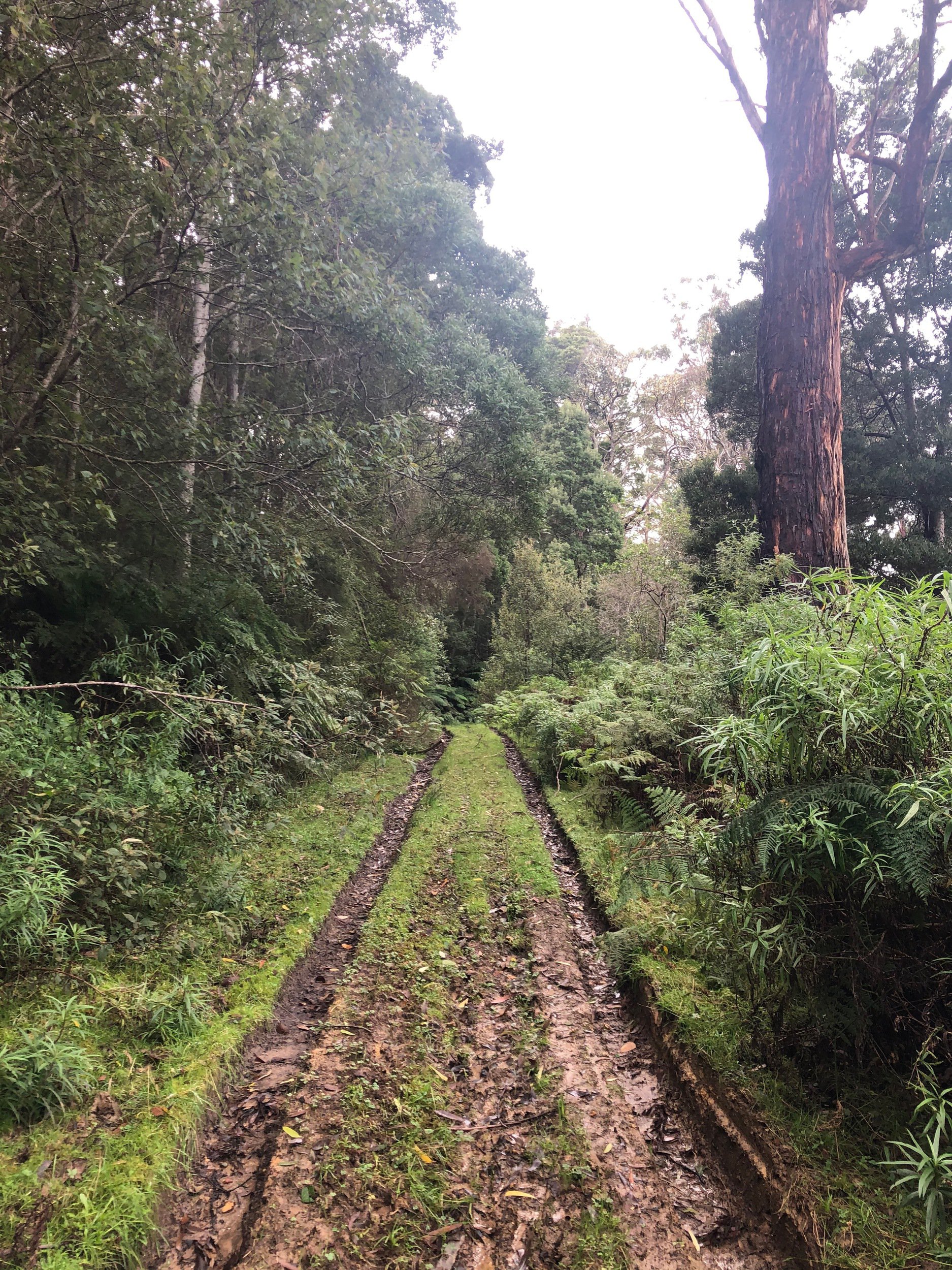 Parker Spur Road mud