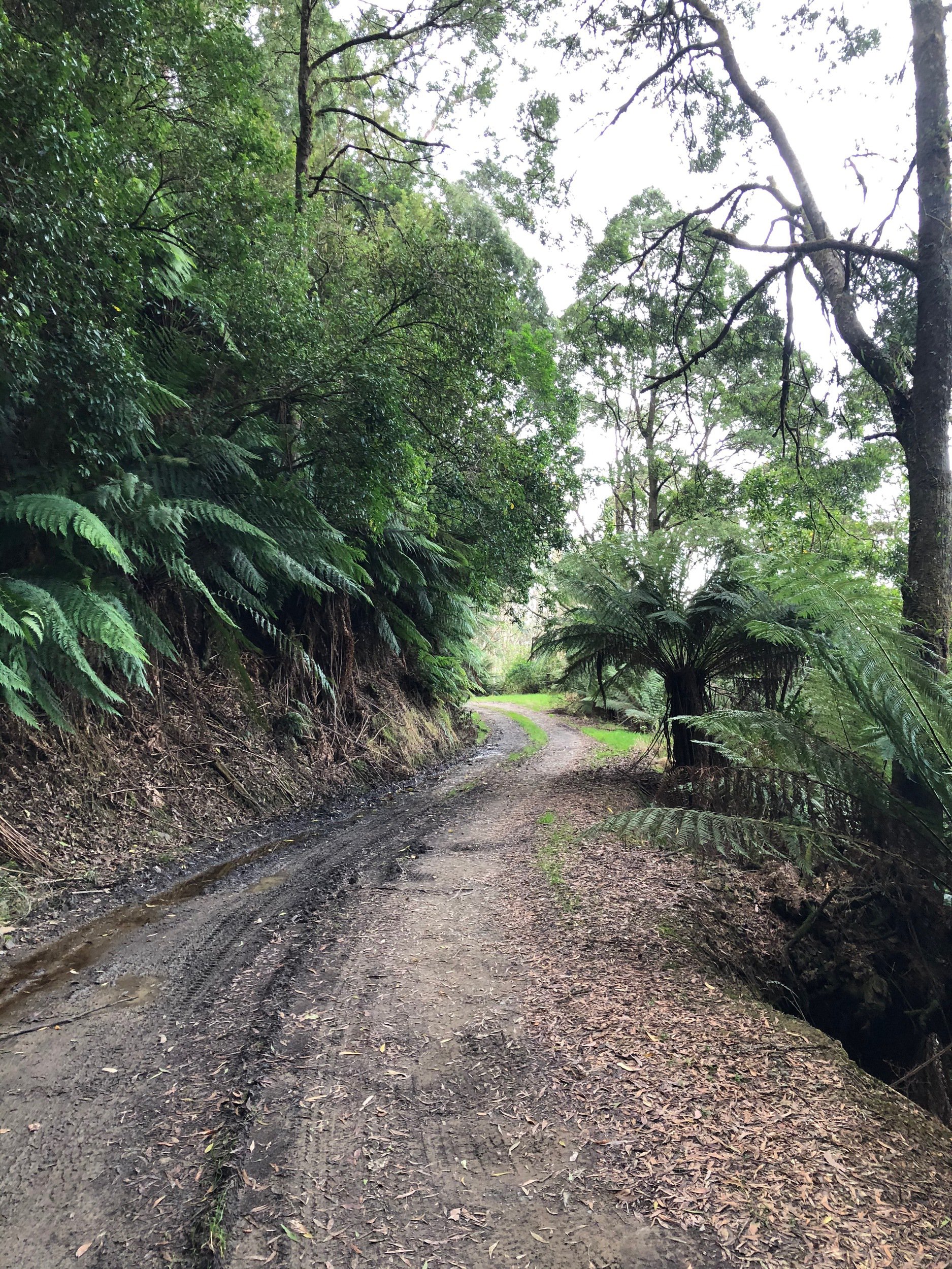 Old Bay Road