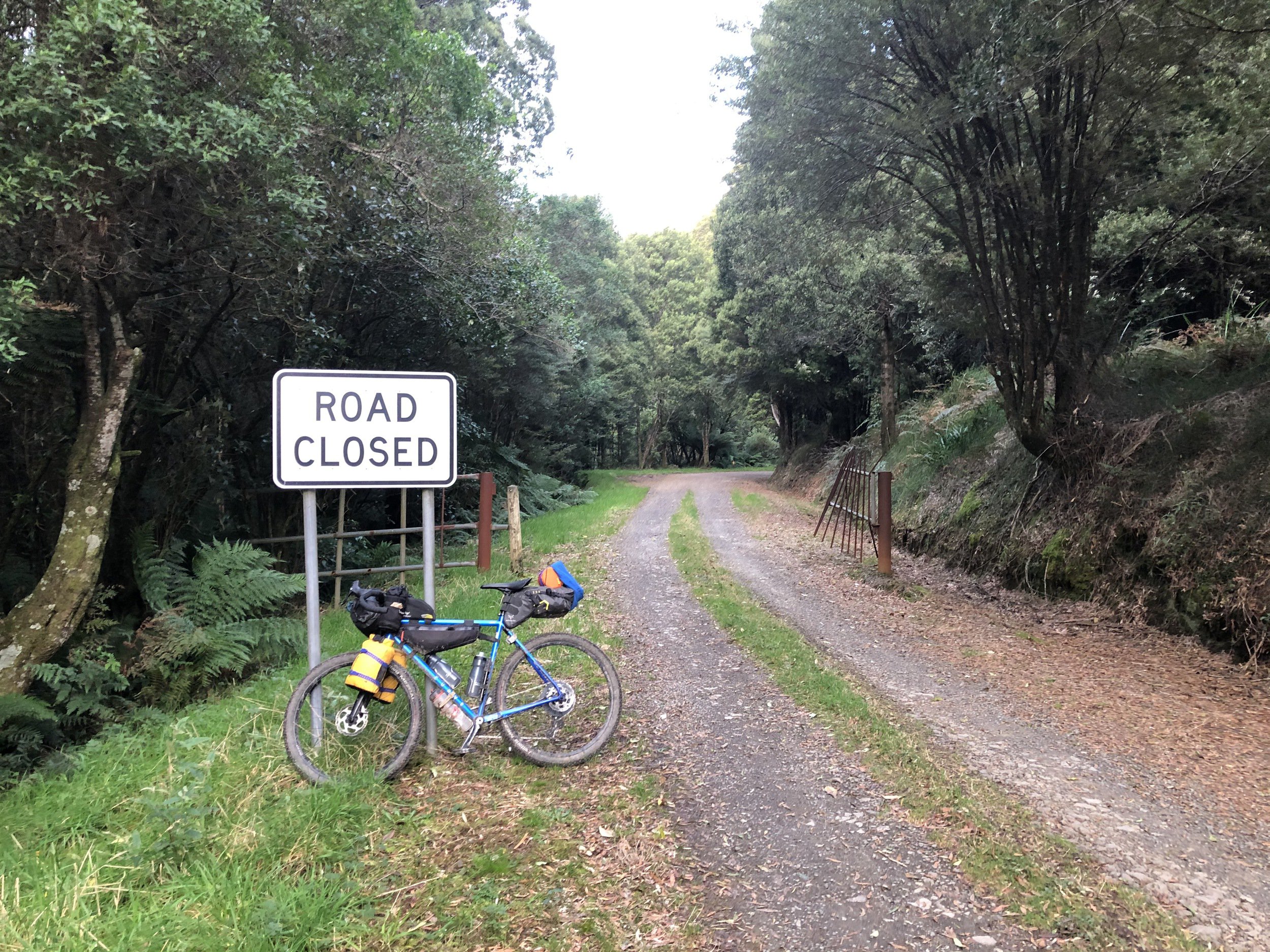 top of Old Bay Road