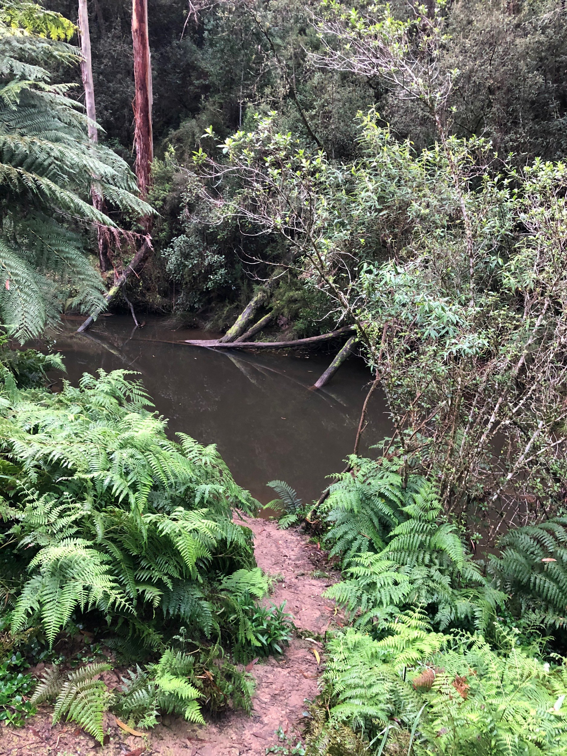 Collecting water from the river